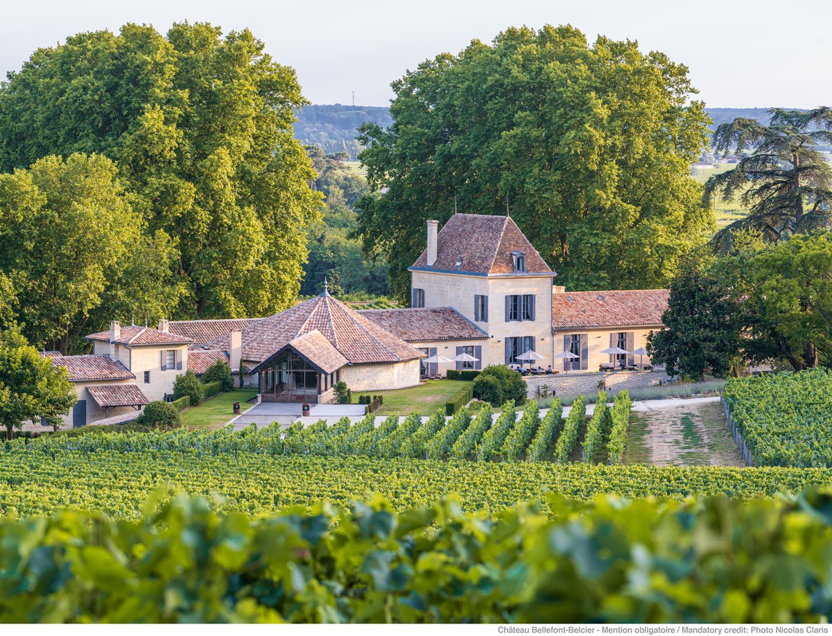 Vaste vignoble et domaine viticole en arrière plan